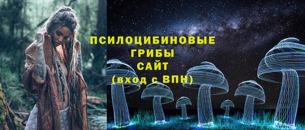 дживик Бородино