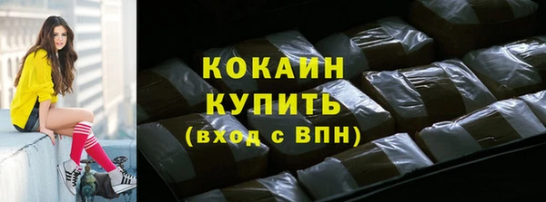 дживик Бородино