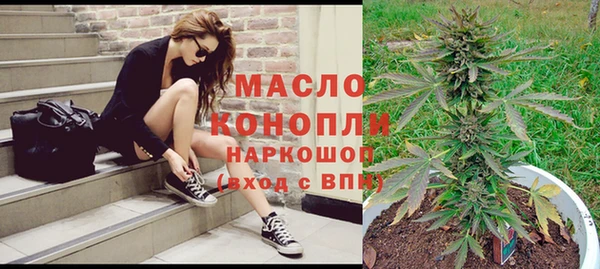 дживик Бородино