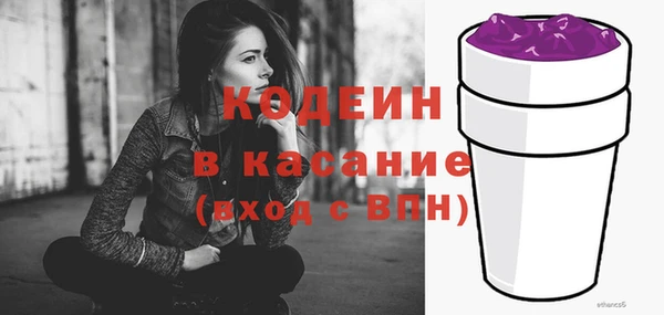 дживик Бородино