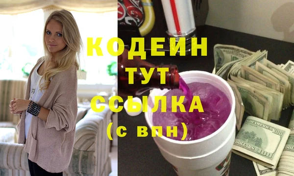 дживик Бородино