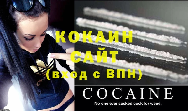 дживик Бородино