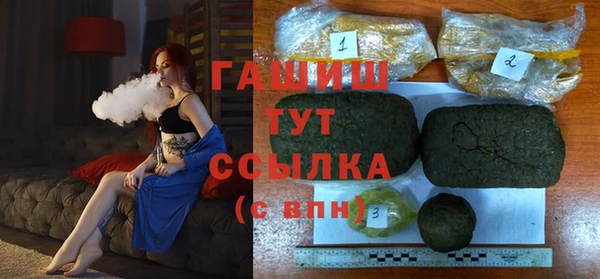 дживик Бородино