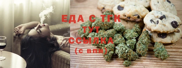 дживик Бородино