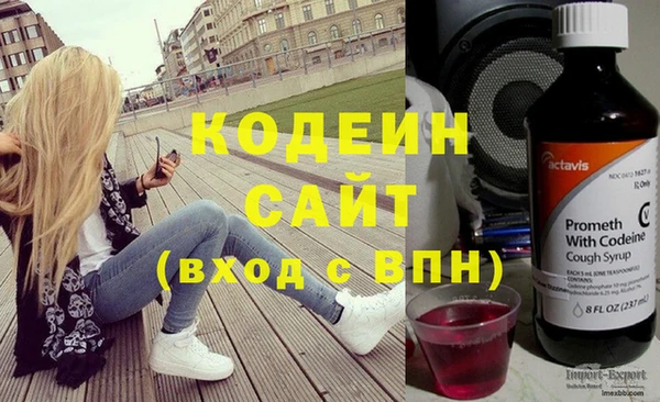 дживик Бородино