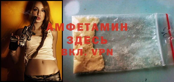 дживик Бородино