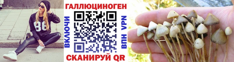 KRAKEN ONION  закладка  Кирсанов  маркетплейс состав  Псилоцибиновые грибы Psilocybe 